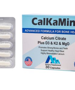 Calkamin